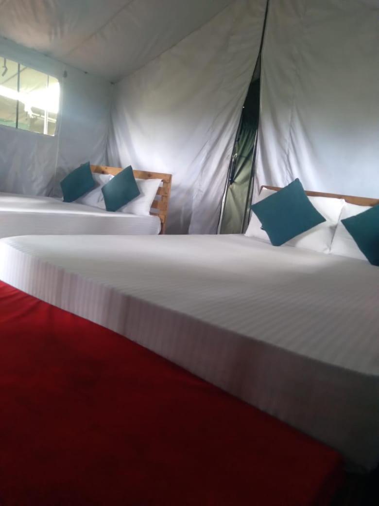 Ella Glamping Hotel Luaran gambar