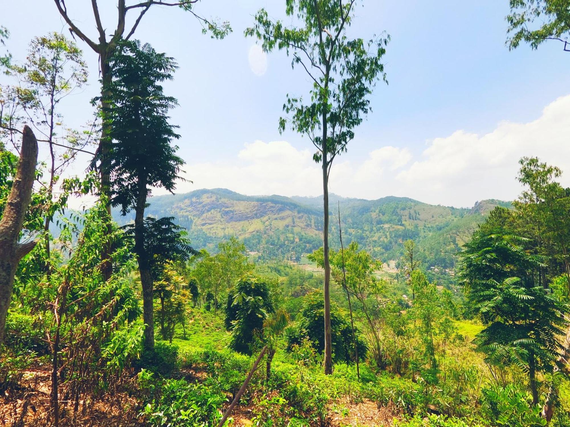 Ella Glamping Hotel Luaran gambar