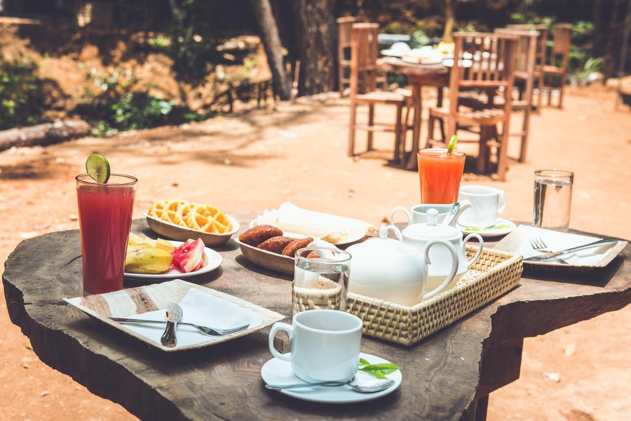 Ella Glamping Hotel Luaran gambar