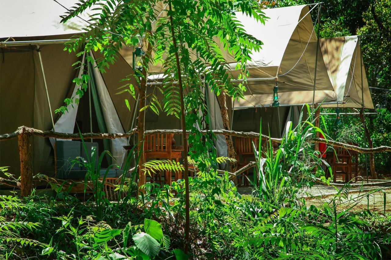 Ella Glamping Hotel Luaran gambar