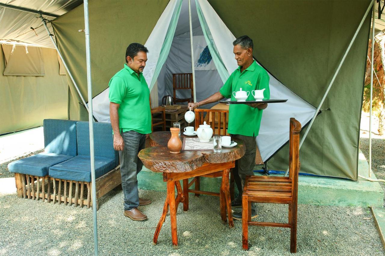 Ella Glamping Hotel Luaran gambar